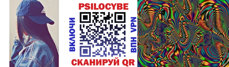 Псилоцибиновые грибы Psilocybe  Купить закладки  Славянск-на-Кубани 